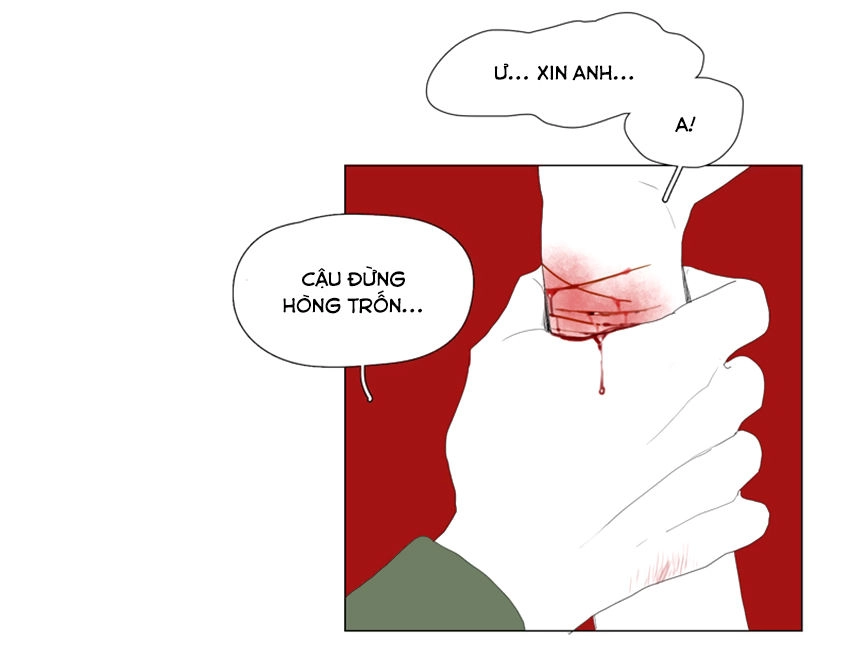 Thú Cưng Của Tôi Là Dơi Chapter 38 - 18