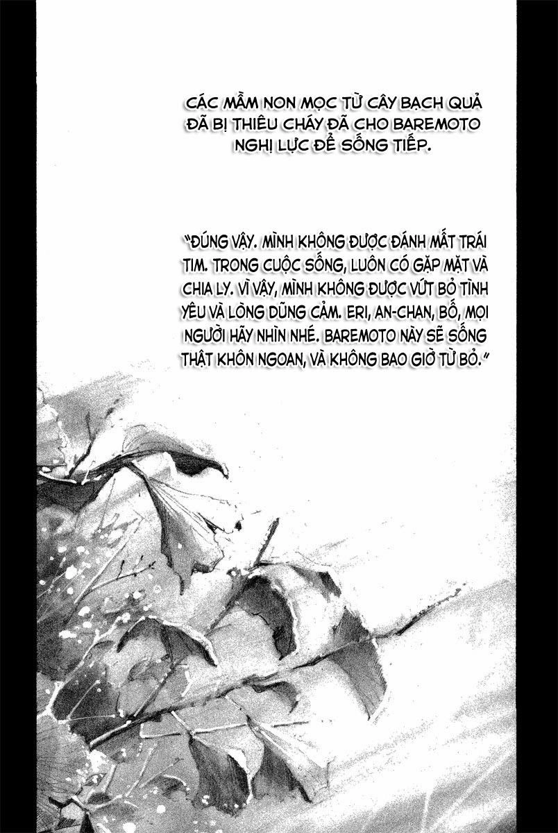 Rainbow Chapter 92 - 21