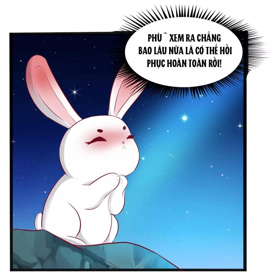 Thỏ Yêu Tiểu Vương Phi Chapter 35 - 19