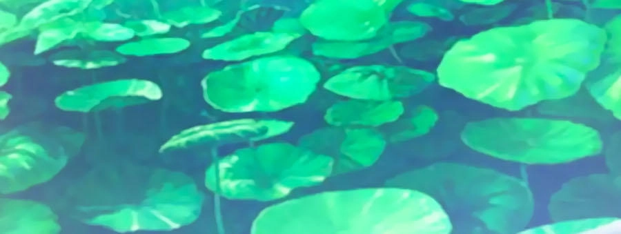 Thỏ Yêu Tiểu Vương Phi Chapter 42 - 13