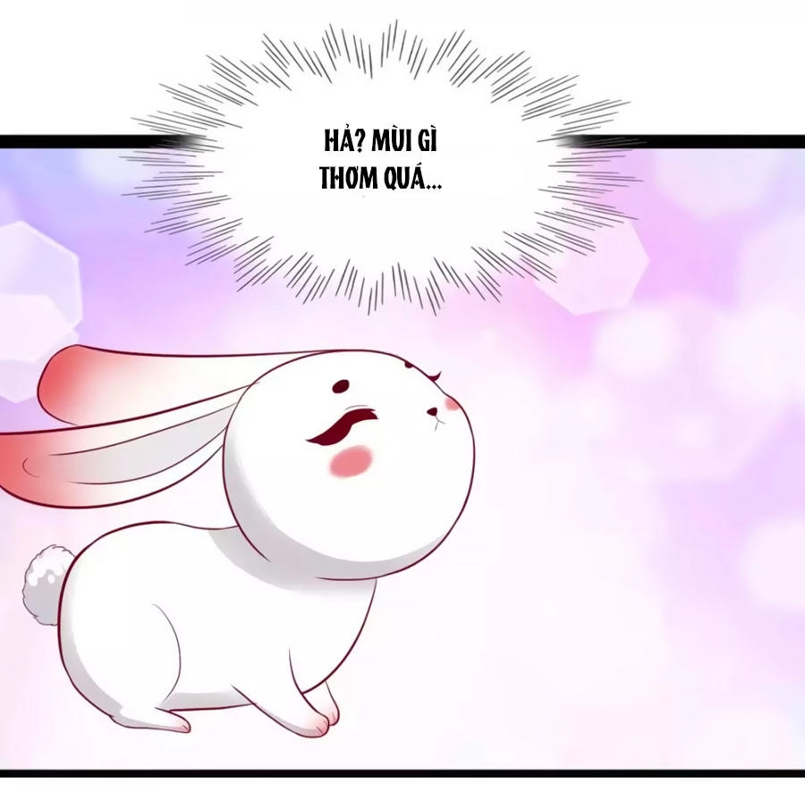 Thỏ Yêu Tiểu Vương Phi Chapter 49 - 26