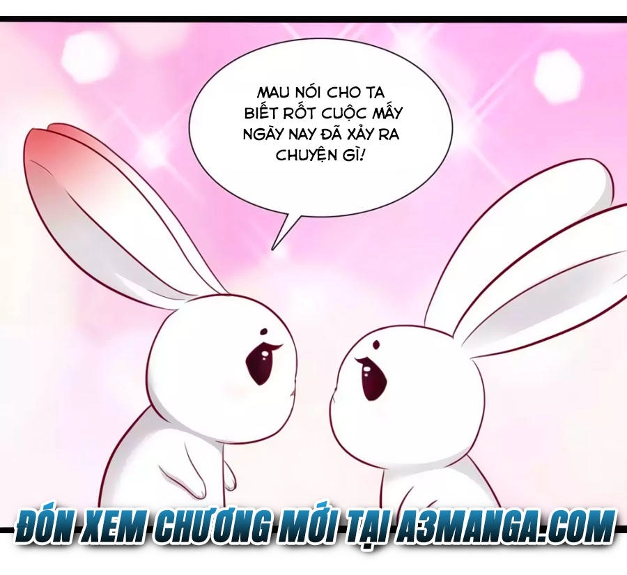 Thỏ Yêu Tiểu Vương Phi Chapter 49 - 33