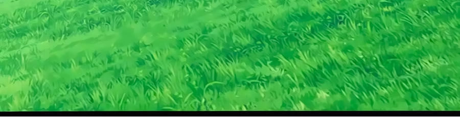 Thỏ Yêu Tiểu Vương Phi Chapter 85 - 37