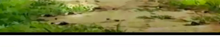 Thỏ Yêu Tiểu Vương Phi Chapter 87 - 23