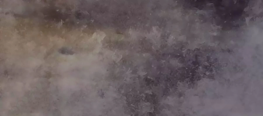 Thỏ Yêu Tiểu Vương Phi Chapter 93 - 3