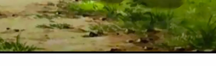 Thỏ Yêu Tiểu Vương Phi Chapter 93 - 27