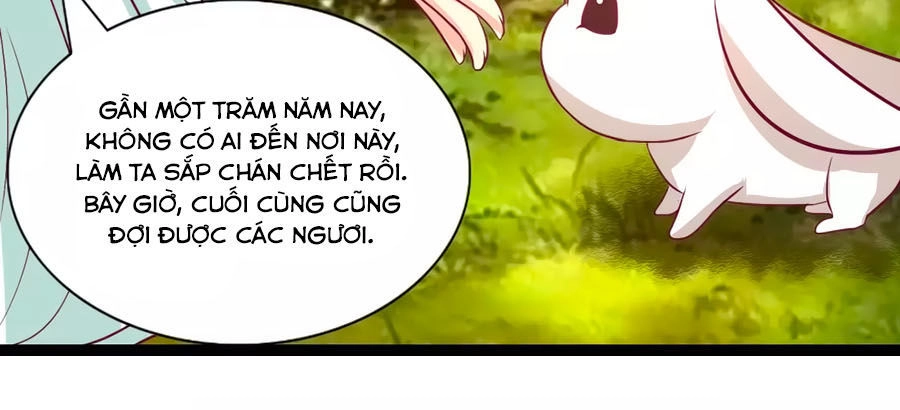 Thỏ Yêu Tiểu Vương Phi Chapter 94 - 13