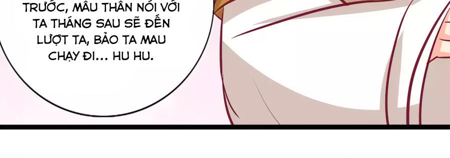 Thỏ Yêu Tiểu Vương Phi Chapter 98 - 33