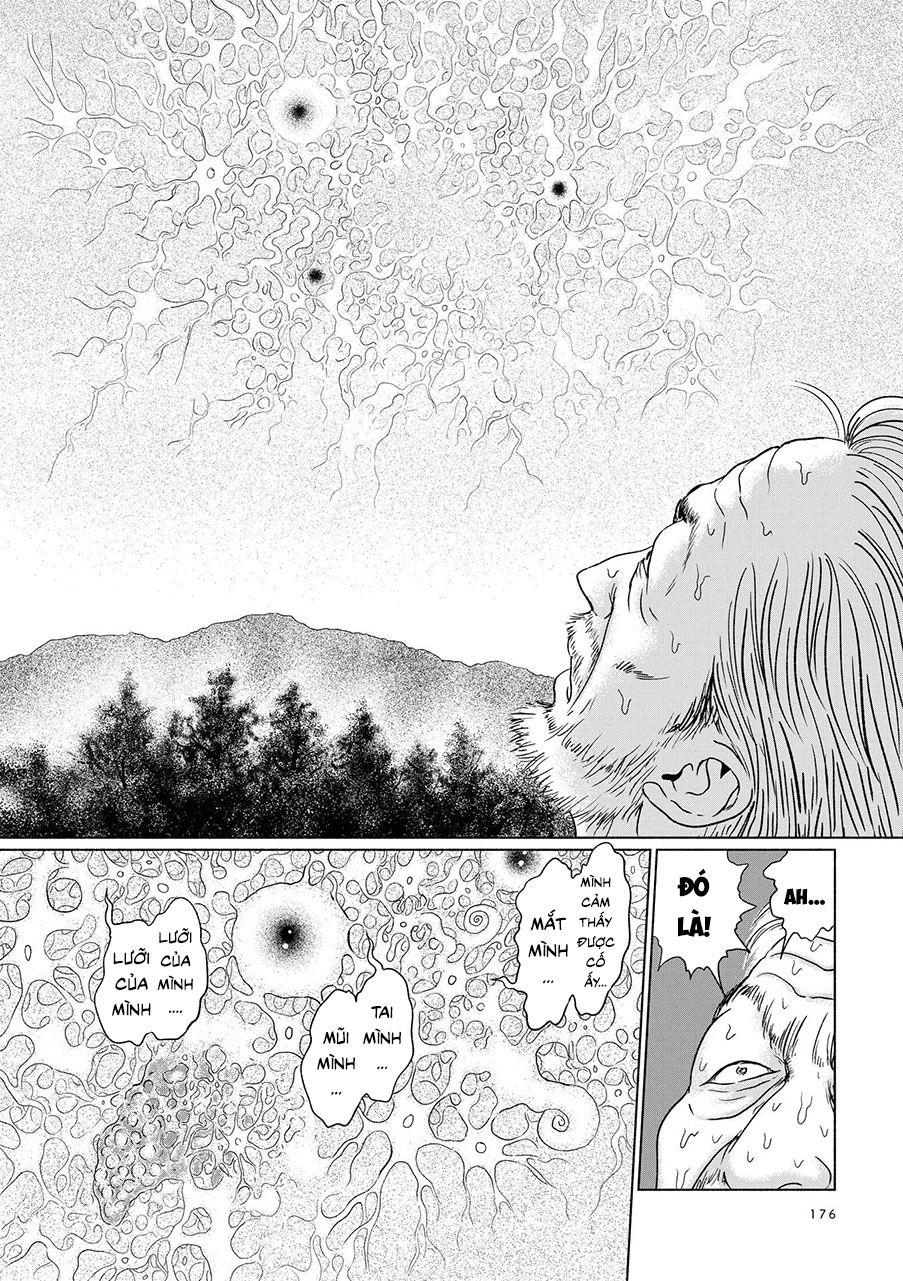 Ngôi Làng Bị Lãng Quên Chapter 6 - 15