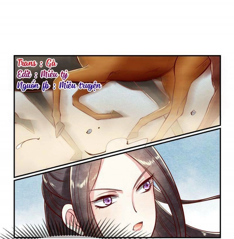 Hoàng Hậu Tại Thượng, Xin Nhận Một Lạy Của Vi Phu Chapter 7 - 2