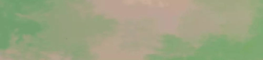 Bồng Sơn Viễn Chapter 53 - 41