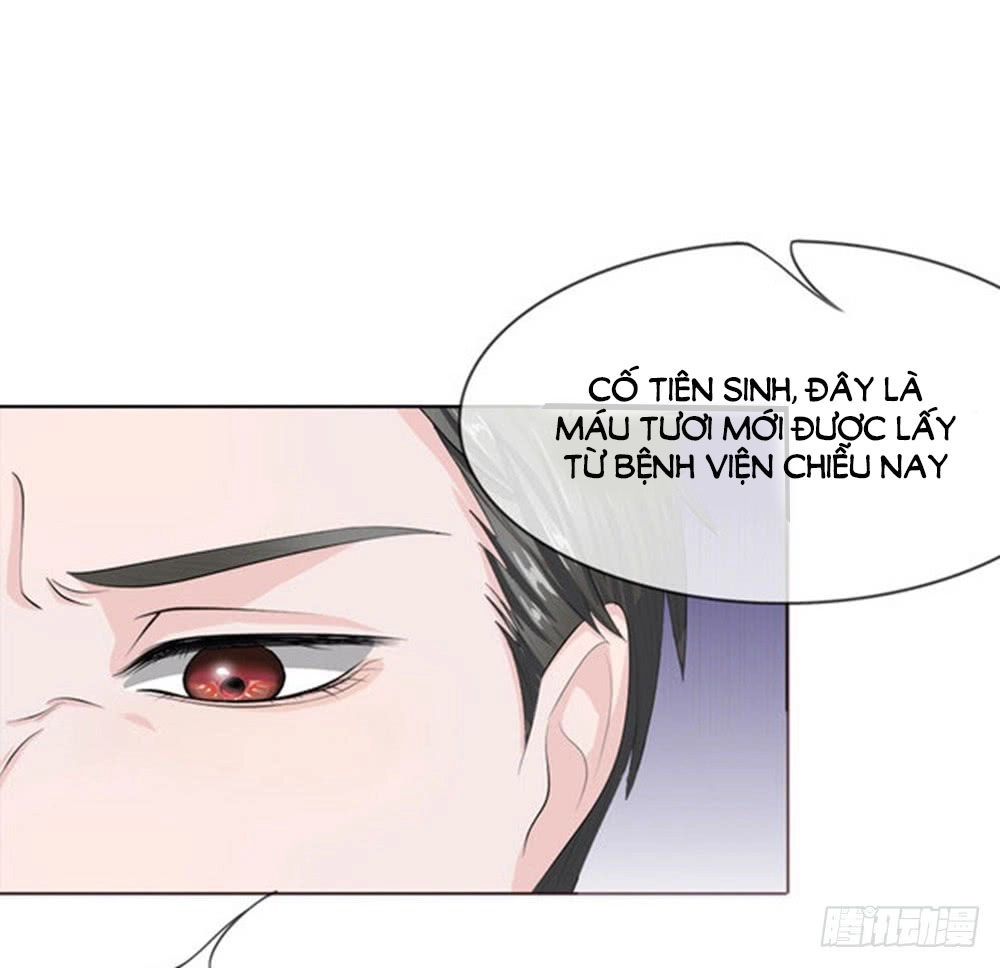 Tổng Tài Ma Cà Rồng Của Tôi Chapter 9 - 15