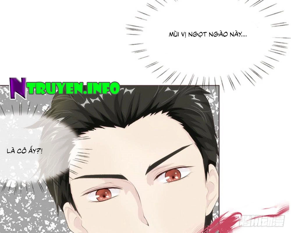 Tổng Tài Ma Cà Rồng Của Tôi Chapter 10 - 19