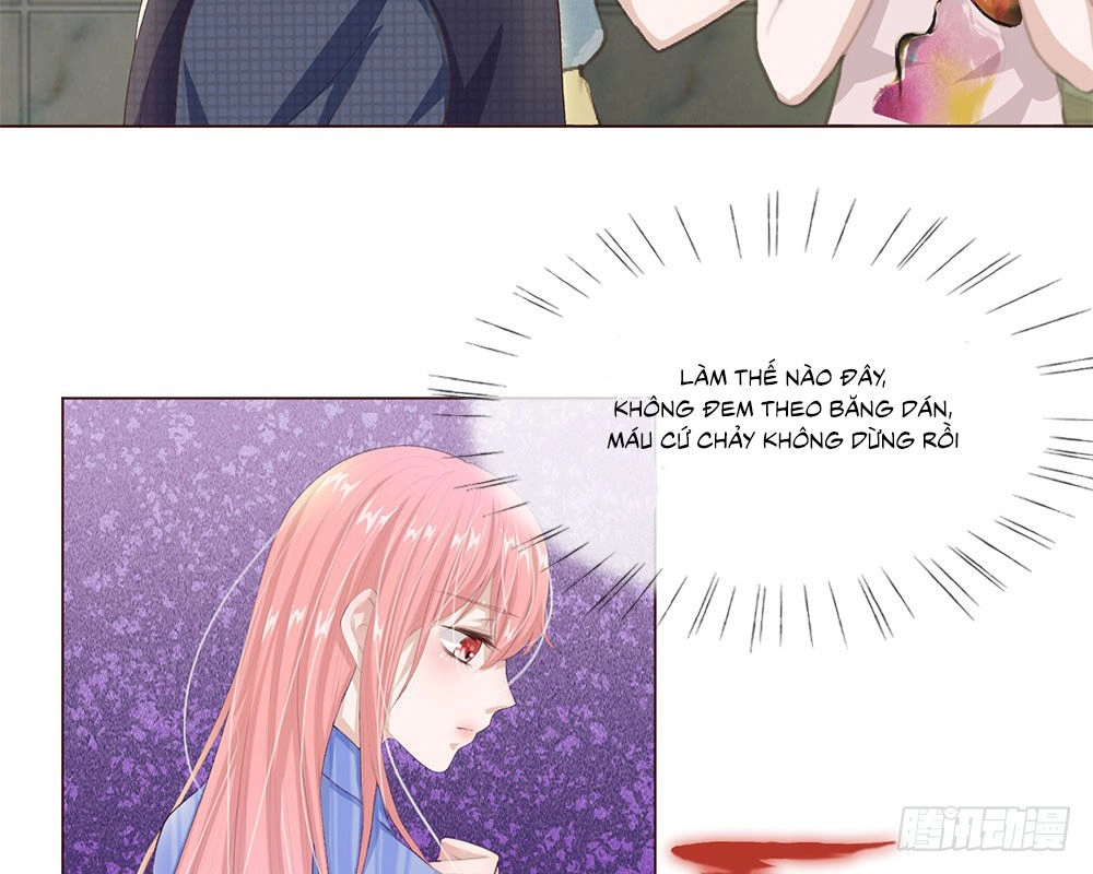 Tổng Tài Ma Cà Rồng Của Tôi Chapter 14 - 33