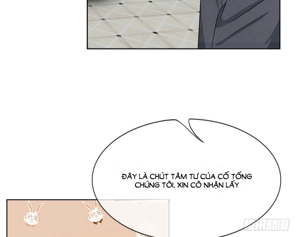 Tổng Tài Ma Cà Rồng Của Tôi Chapter 17 - 30