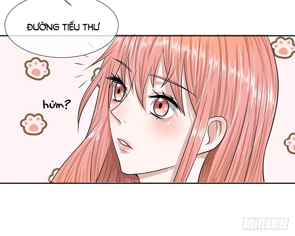 Tổng Tài Ma Cà Rồng Của Tôi Chapter 19 - 38