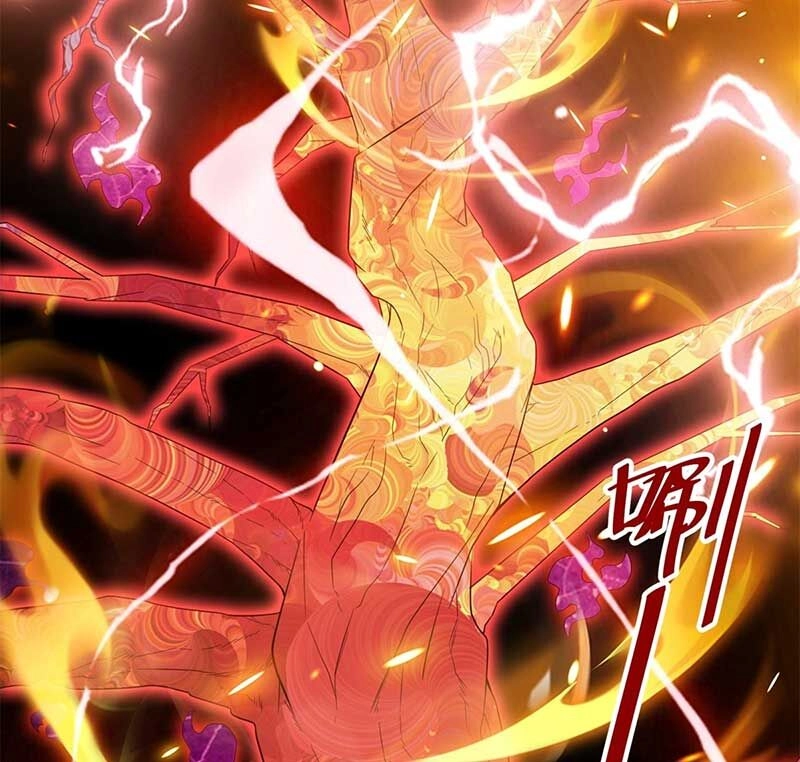 Vô Tận Thôn Phệ Chapter 146 - 46