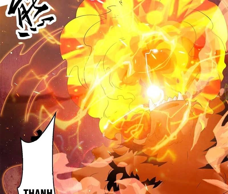 Vô Tận Thôn Phệ Chapter 149 - 63