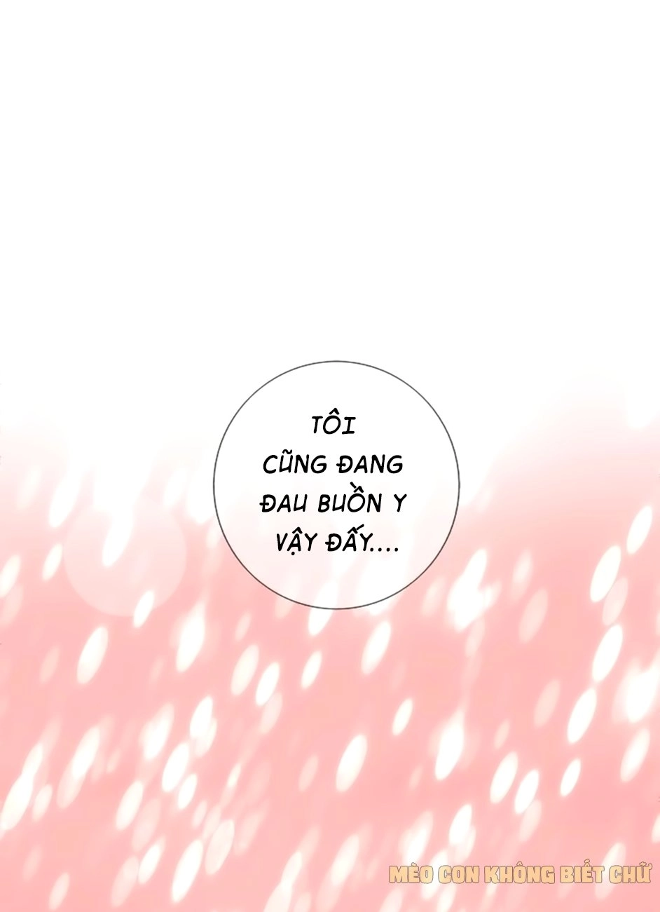 Không Có Ssr Làm Sao Để Yêu Chapter 2 - 14