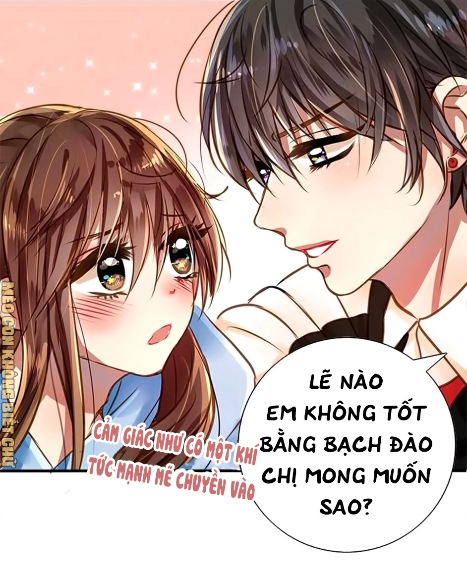 Không Có Ssr Làm Sao Để Yêu Chapter 5 - 24