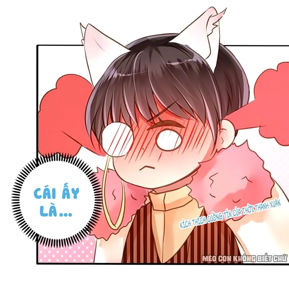 Không Có Ssr Làm Sao Để Yêu Chapter 15 - 21