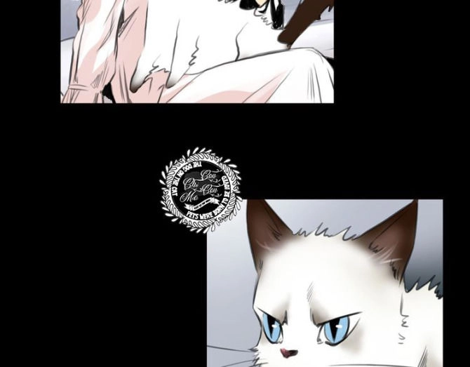 Quả Bóng Màu Vàng Chapter 9 - 49