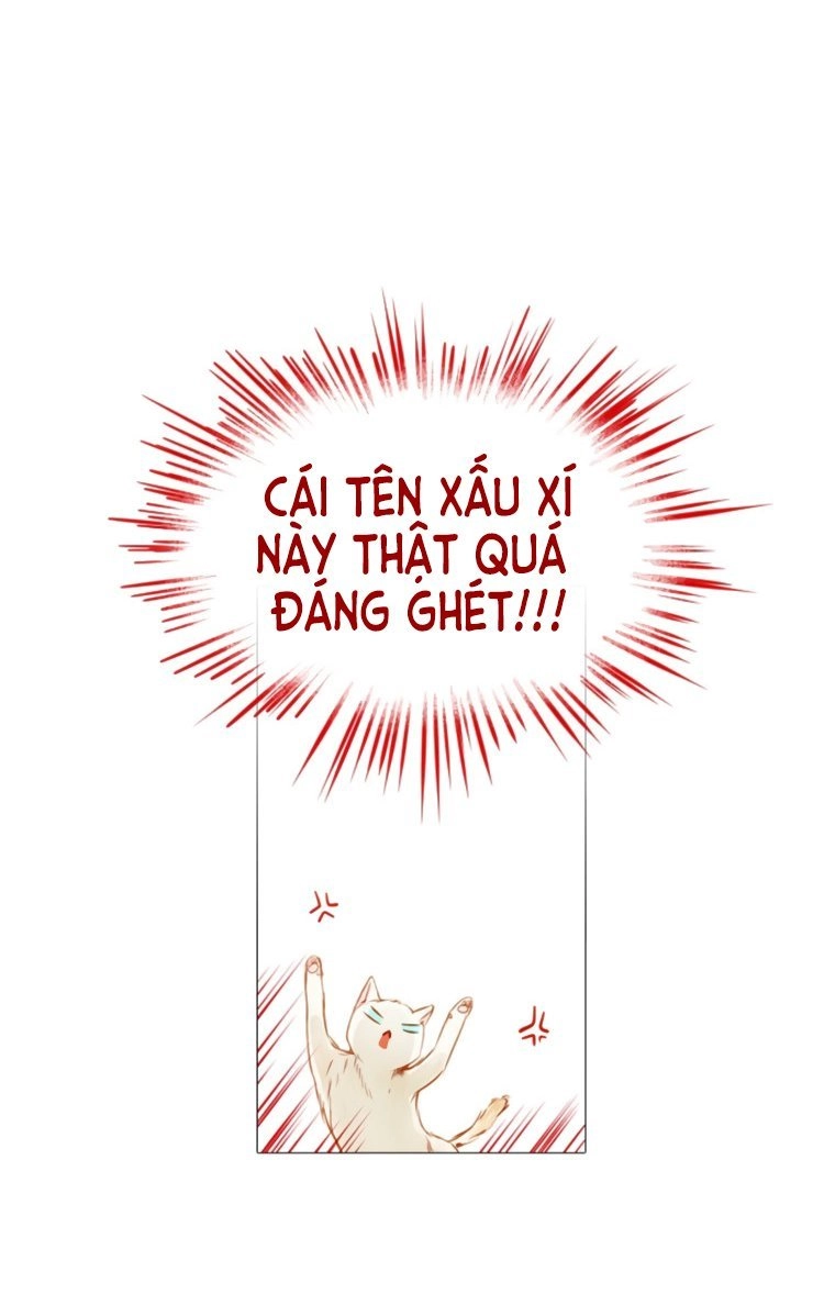 Little Rain Chapter 4 - 13