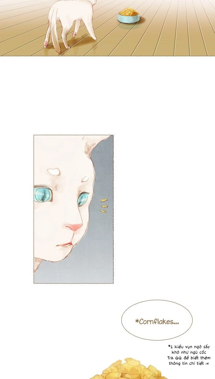 Little Rain Chapter 13 - 14