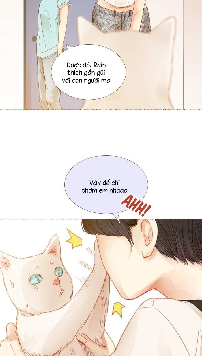 Little Rain Chapter 13 - 24