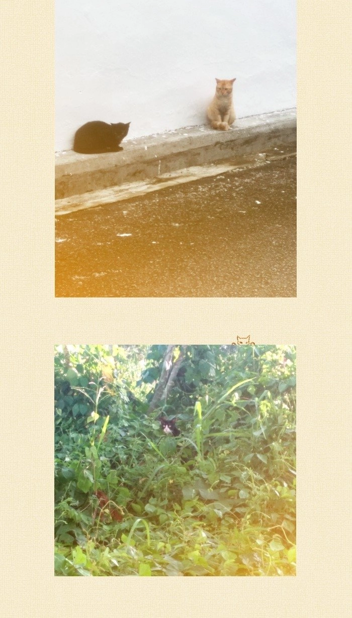 Little Rain Chapter 14.5 - 24