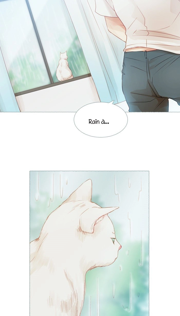 Little Rain Chapter 15 - 21