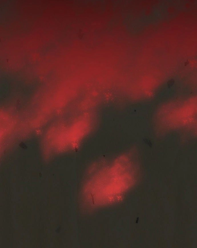 In Full Bloom Chapter 5 - 21