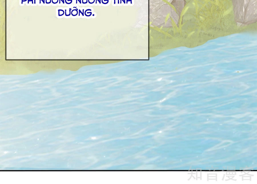 Tà Vương Thần Phi: Y Thủ Che Thiên Chapter 10 - 25