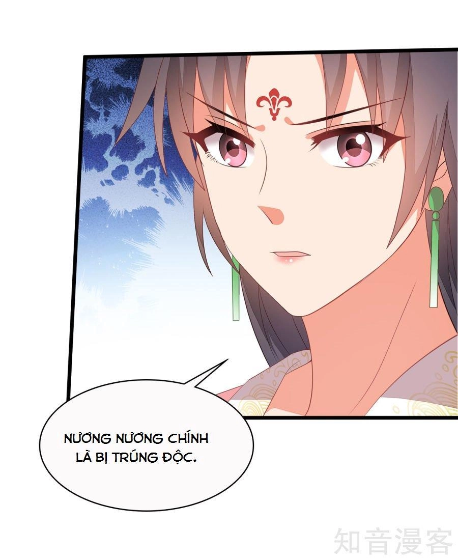 Tà Vương Thần Phi: Y Thủ Che Thiên Chapter 11 - 6