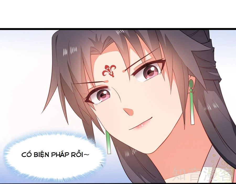 Tà Vương Thần Phi: Y Thủ Che Thiên Chapter 11 - 21