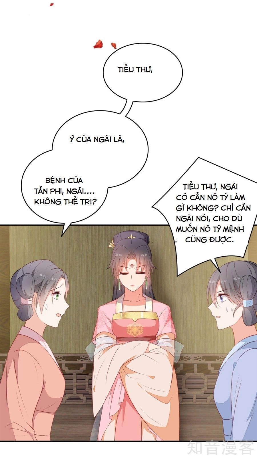 Tà Vương Thần Phi: Y Thủ Che Thiên Chapter 14 - 27