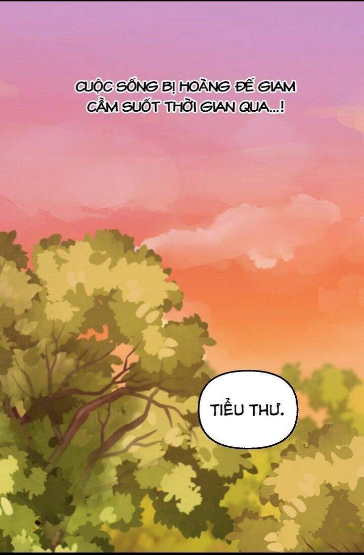 Hãy Bỏ Mặc Tôi Chapter 25 - 21