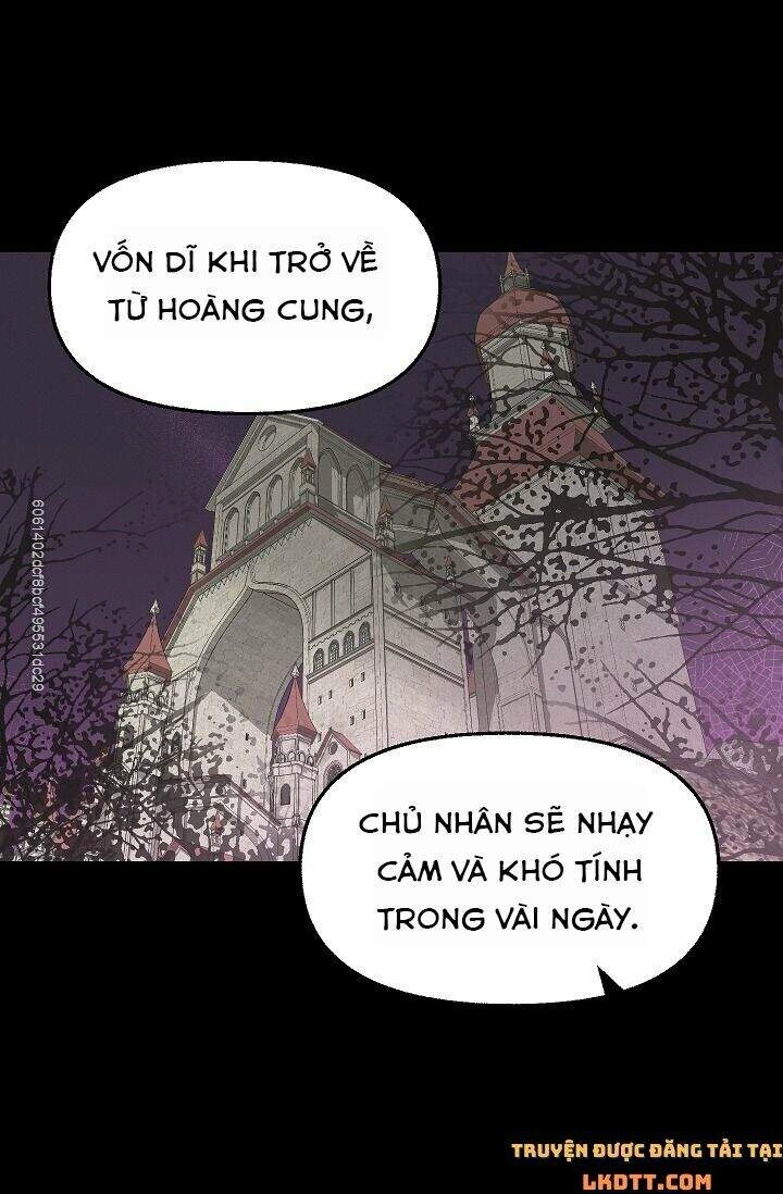 Hãy Bỏ Mặc Tôi Chapter 45 - 21