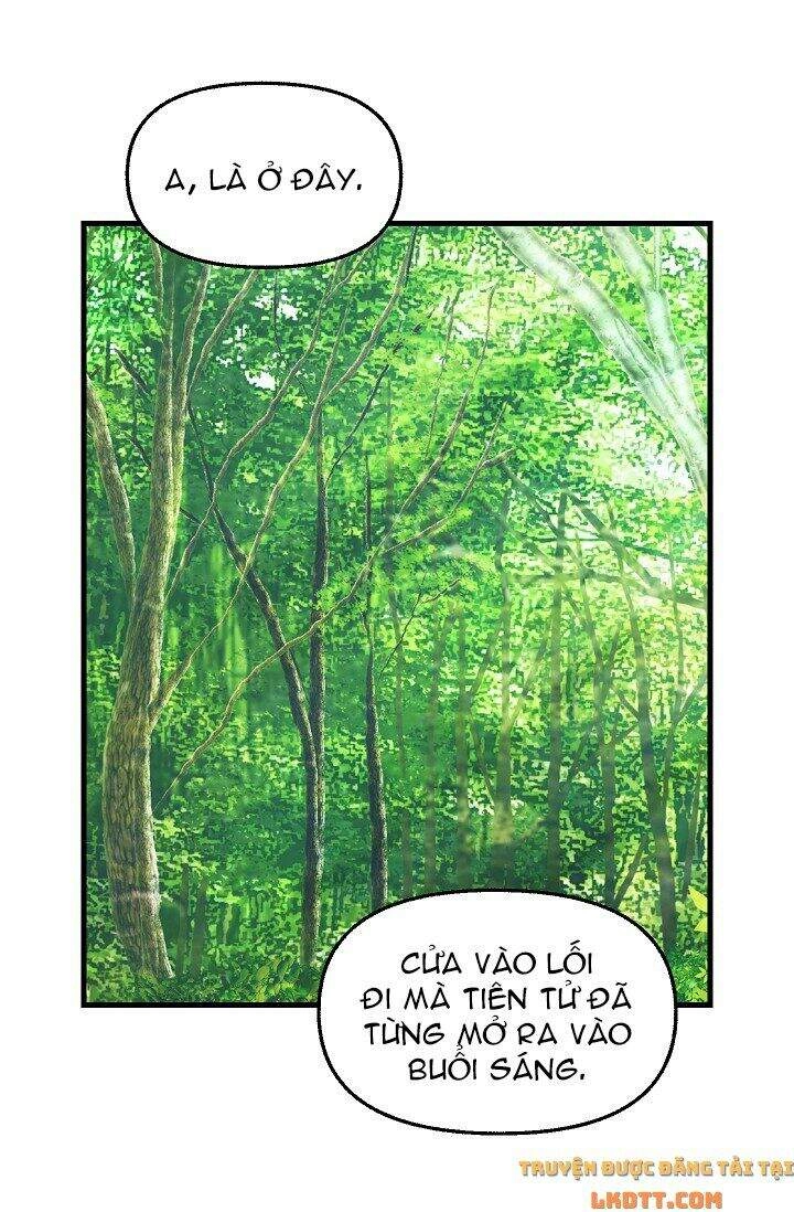 Hãy Bỏ Mặc Tôi Chapter 62 - 40