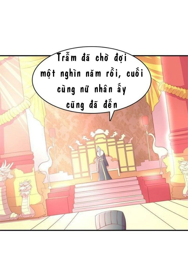 Xuyên Việt Chi Hồ Vương Đích Chuyên Sủng Chapter 2 - 21