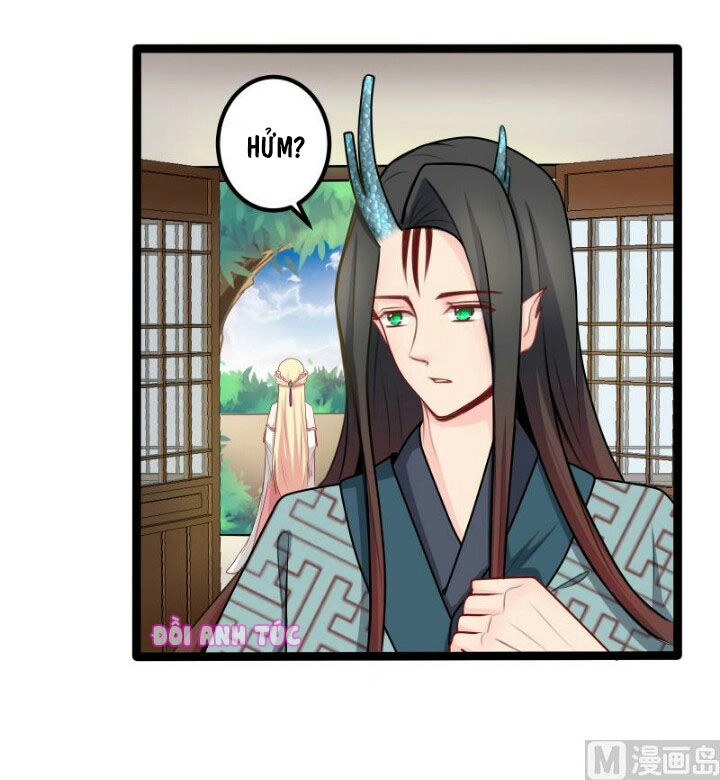 Xuyên Việt Chi Hồ Vương Đích Chuyên Sủng Chapter 29 - 21