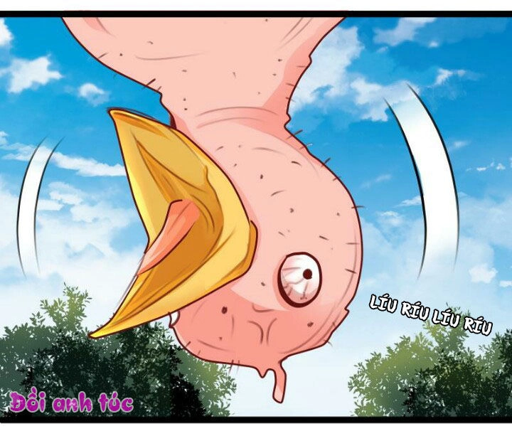 Xuyên Việt Chi Hồ Vương Đích Chuyên Sủng Chapter 35 - 9