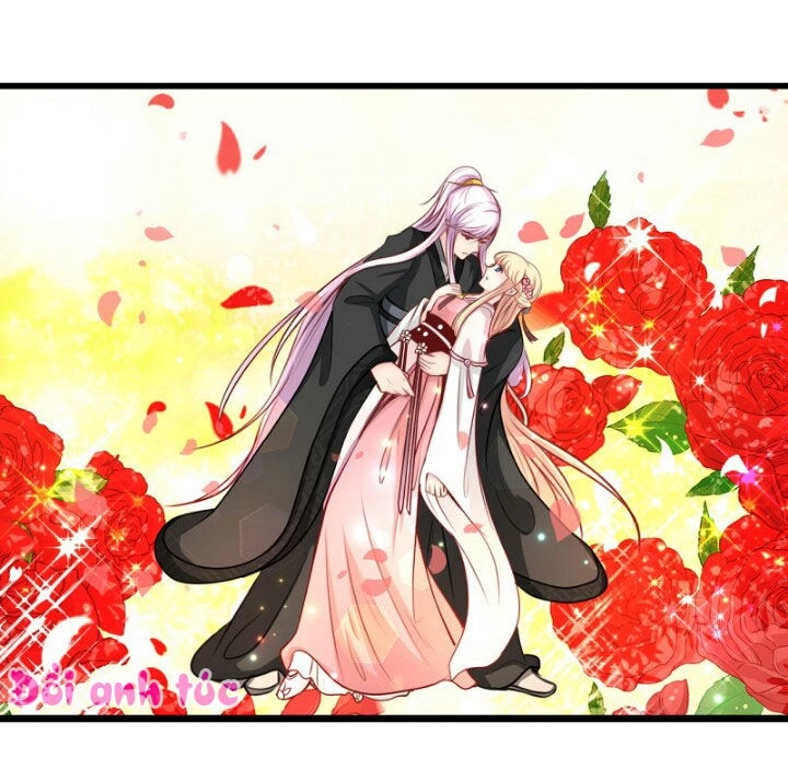 Xuyên Việt Chi Hồ Vương Đích Chuyên Sủng Chapter 39 - 13