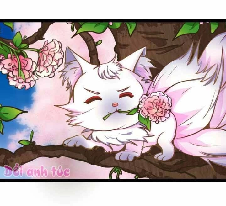 Xuyên Việt Chi Hồ Vương Đích Chuyên Sủng Chapter 42 - 2