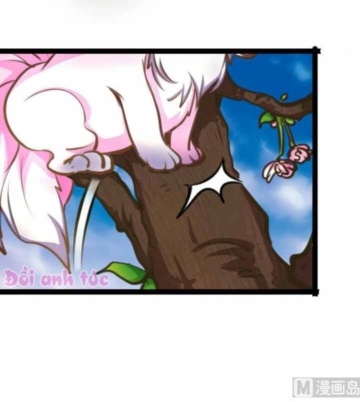 Xuyên Việt Chi Hồ Vương Đích Chuyên Sủng Chapter 42 - 3