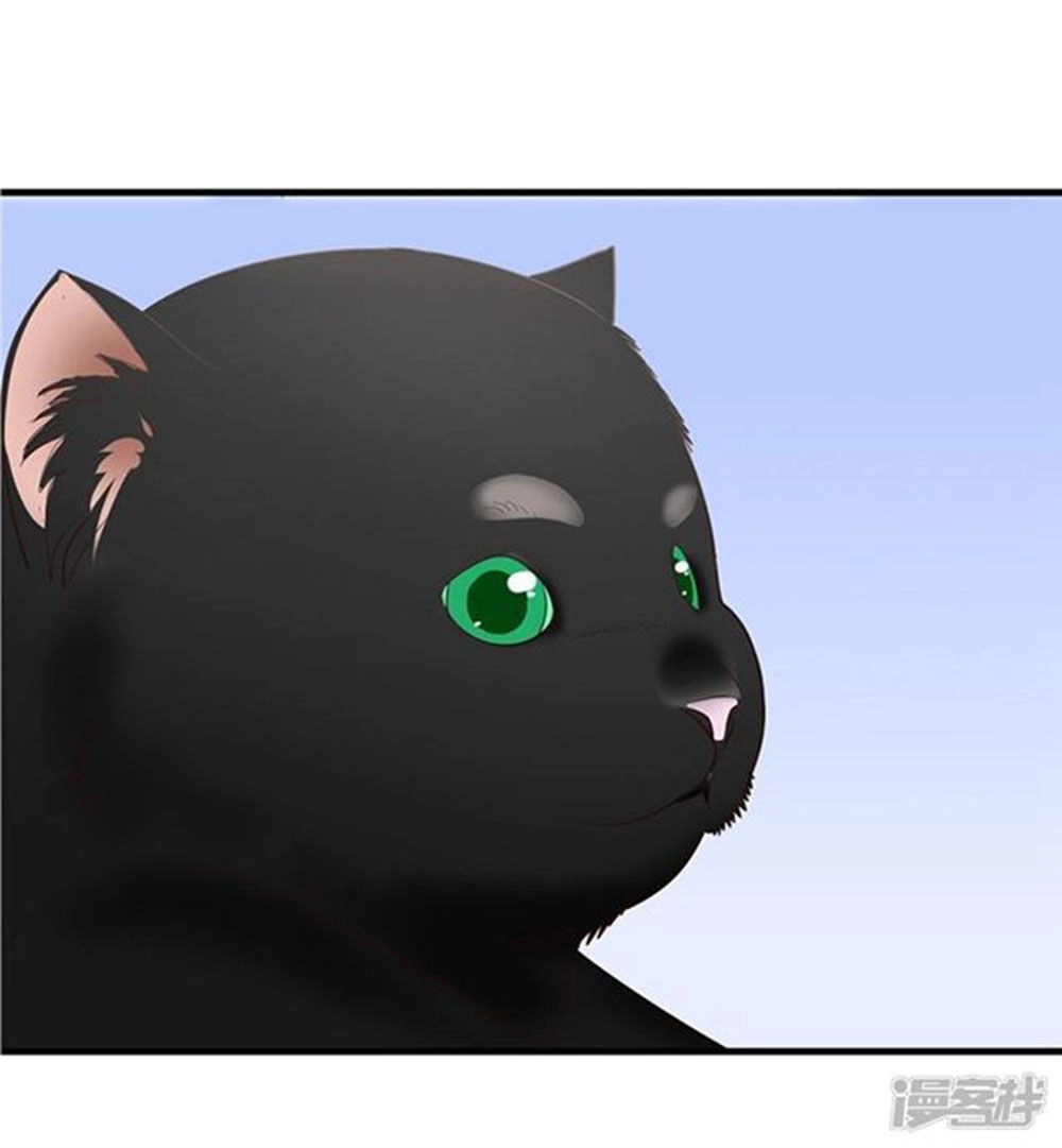 Cướp Đi Nụ Hôn Của Người Chapter 43 - 56