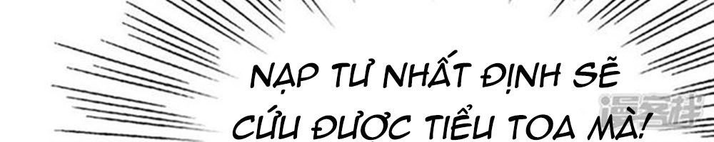 Cướp Đi Nụ Hôn Của Người Chapter 49 - 11