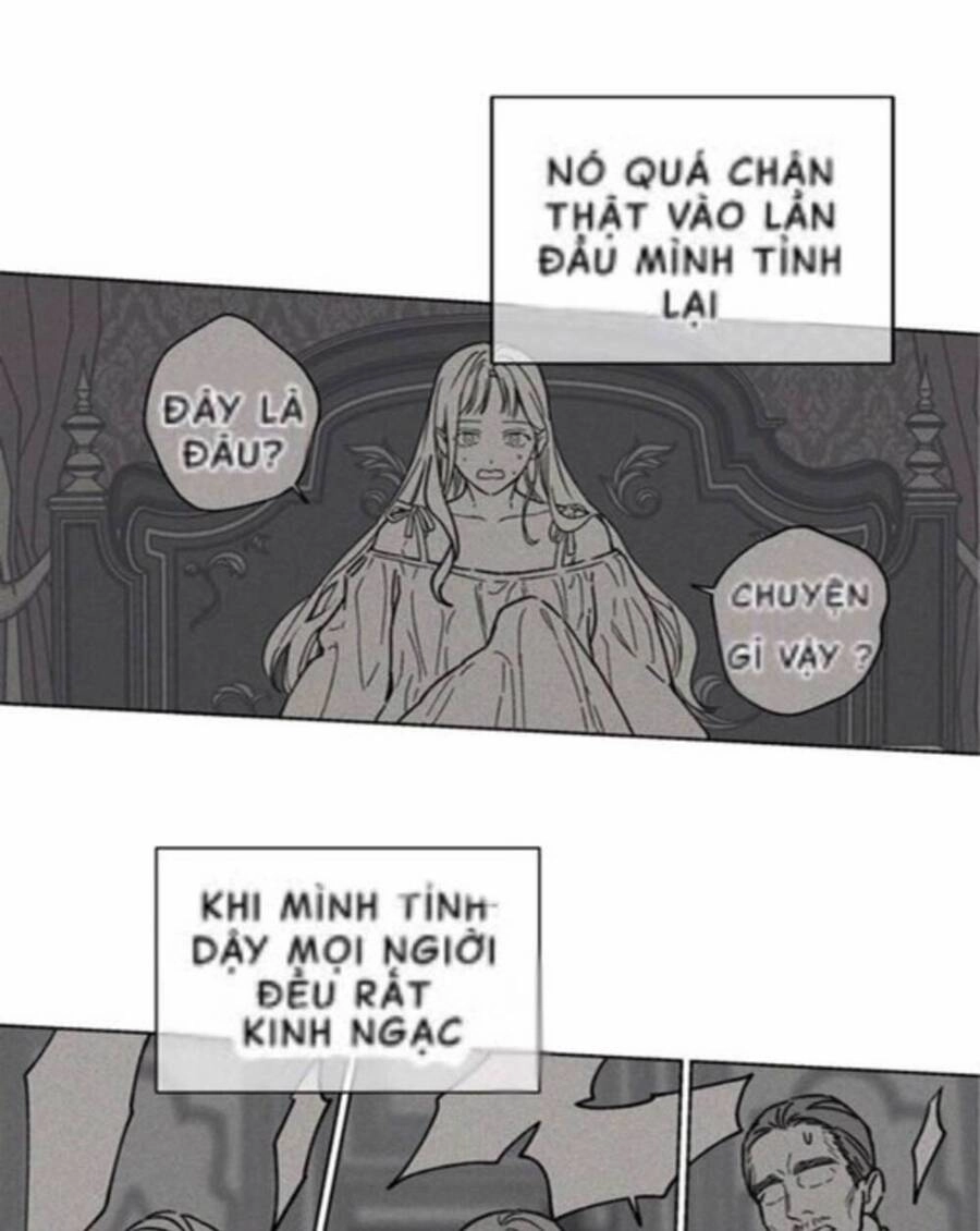 Lâu Đài Hoa Hồng Trắng Của Elise Chapter 1 - 58