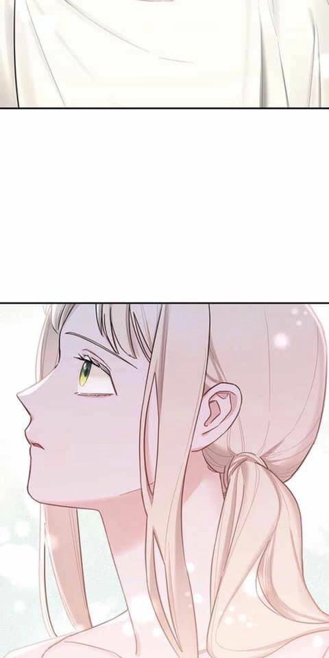 Lâu Đài Hoa Hồng Trắng Của Elise Chapter 6 - 41