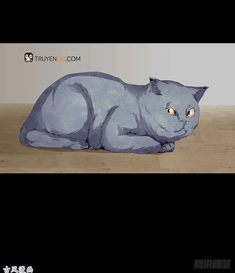 Ẩn Số Về Tứ Gia Chapter 2 - 20